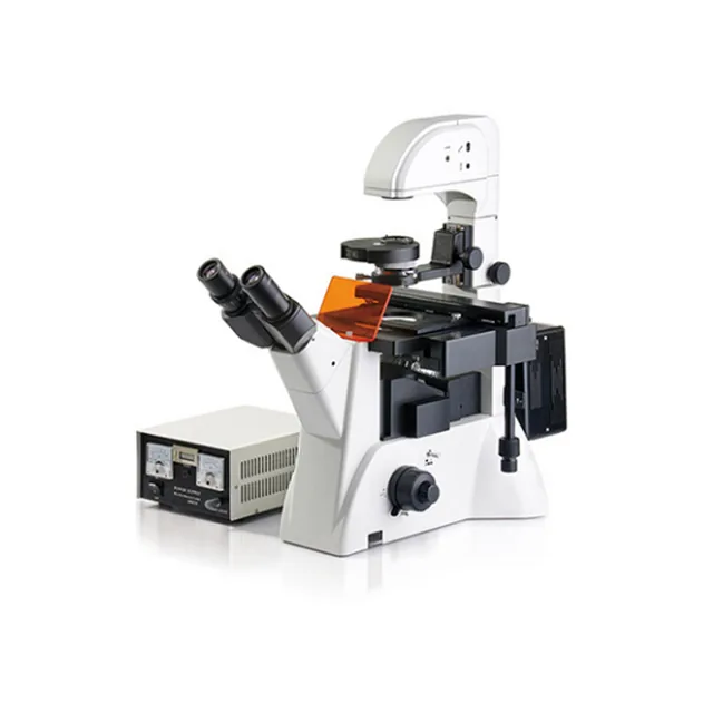 Microscopio invertido de fluorescencia BIOBASE BBM-38XIID — Biobase