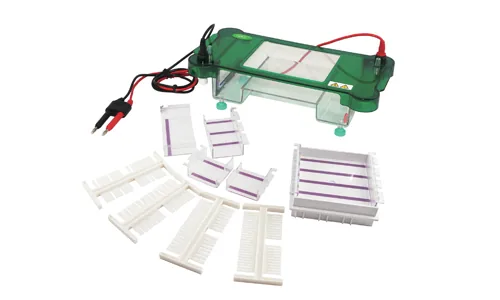 Equipo de electroforesis horizontal Kalstein YR03417 — Kalstein