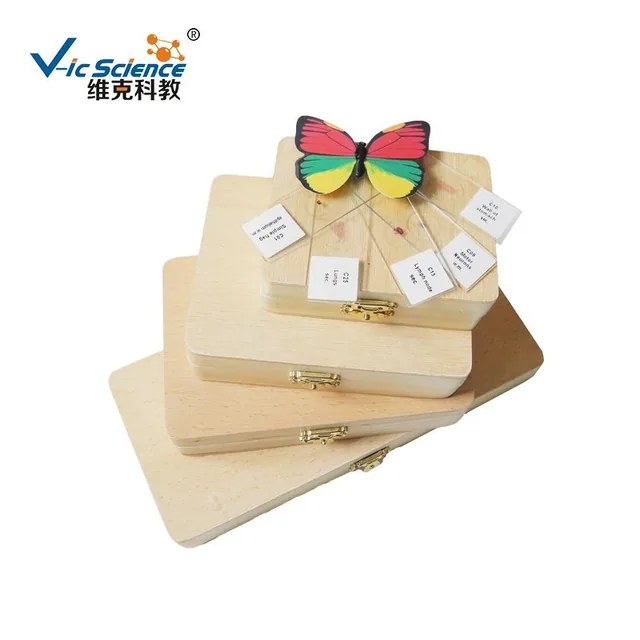 Caja de madera para placas de microscopio — VIC Science