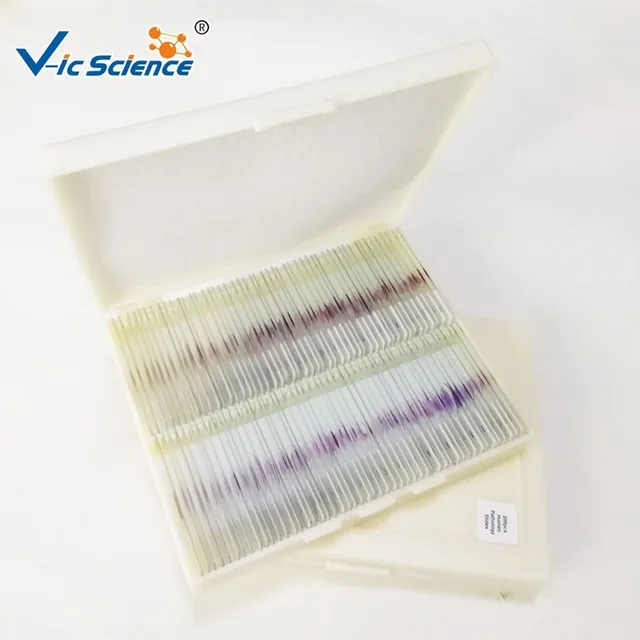 Juego de 200 placas de patología humana — VIC Science