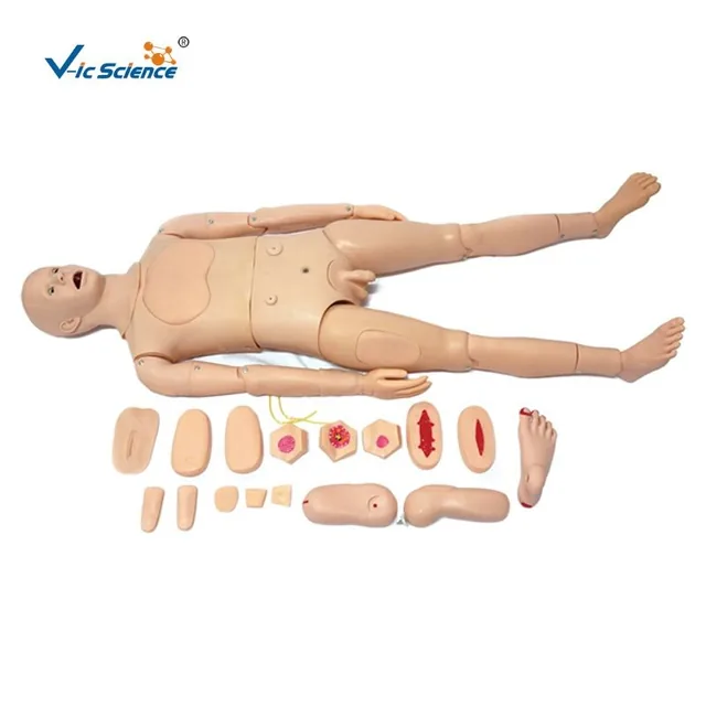 Maniquí avanzado de cuidados de enfermería (masculino) — VIC Science