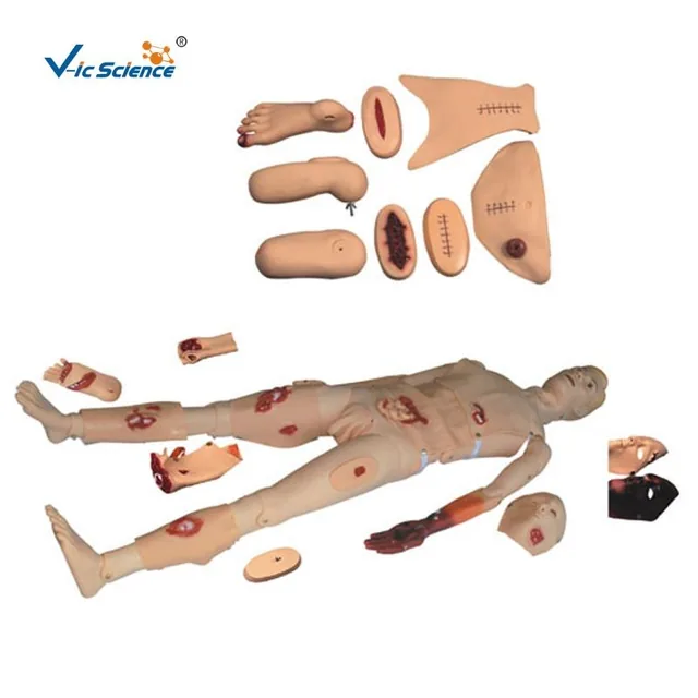 Maniquí de cuidados integrales de trauma — VIC Science