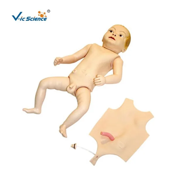 Modelo avanzado de cuidados del lactante — VIC Science