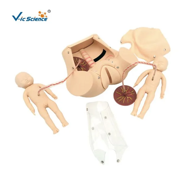 Modelo avanzado de entrenamiento integral de habilidades de parto — VIC Science