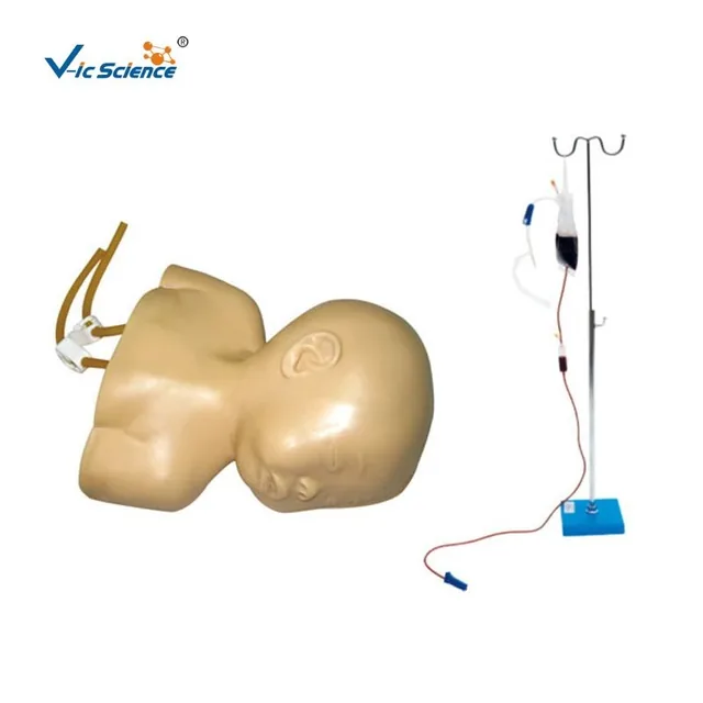 Modelo avanzado de punción venosa de cuero cabelludo infantil — VIC Science