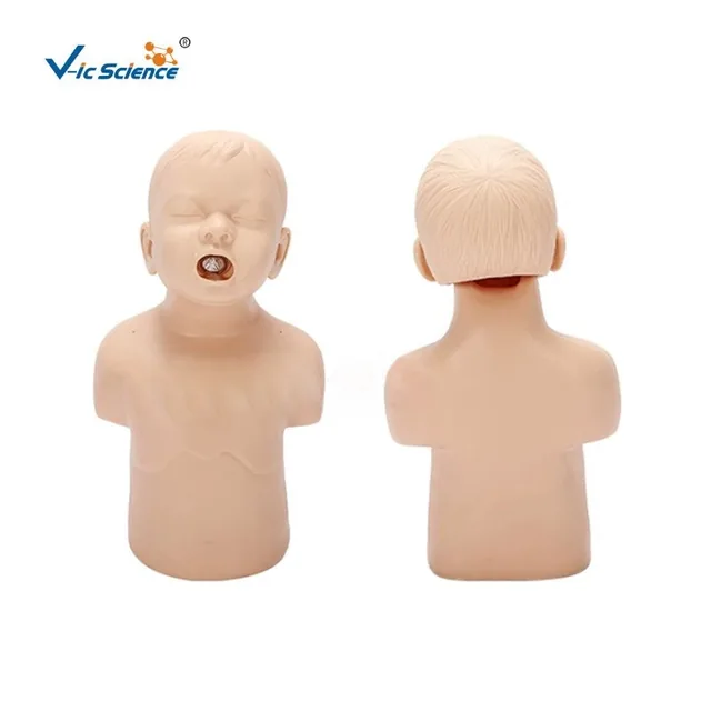 Modelo de asfixia infantil — VIC Science