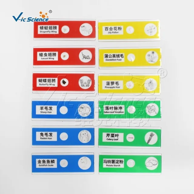Placas de microscopio en cajas plásticas de colores — VIC Science