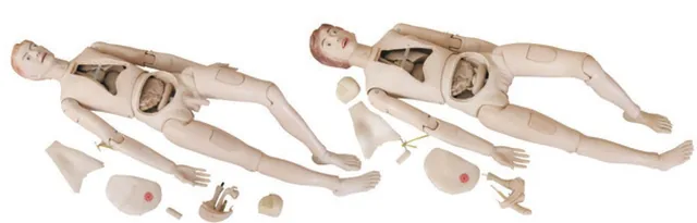 Muñeco avanzado de entrenamiento de enfermería (masculino/femenino) — VIC Science
