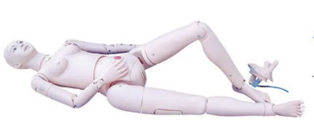 Muñeco multifuncional avanzado de enfermería (masculino/femenino) — VIC Science