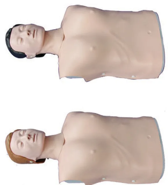 Maniquí electrónico de RCP de medio cuerpo (masculino/femenino) — VIC Science