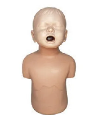Modelo de atragantamiento infantil — VIC Science
