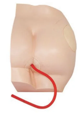 Modelo de inyección glútea — VIC Science