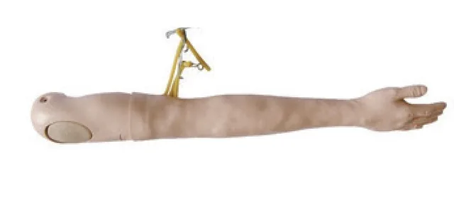 Multifunctional IV Infusion Training Arm — VIC Science