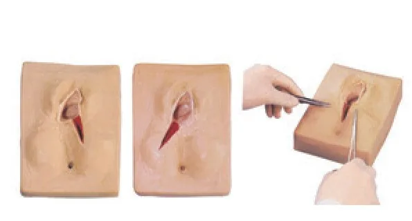 Simulador de sutura de vulva — VIC Science
