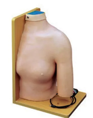 Modelo de inyección intraarticular de hombro — VIC Science
