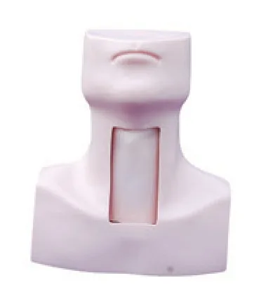 Simulador de traqueostomía para adulto — VIC Science