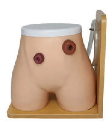 Modelo avanzado de cuidados de ostomía — VIC Science