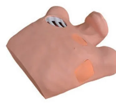 Simulador de neumotórax / drenaje pleural — VIC Science