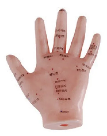 Mano de acupuntura de 13 cm — VIC Science