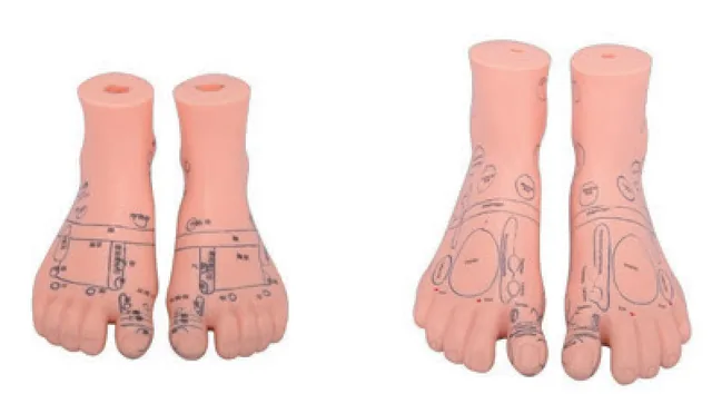 Reflexology Massage Foot (12 cm / 17 cm) — VIC Science