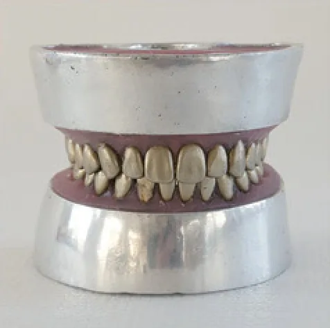 Modelo de extracción dental con dientes metálicos — VIC Science