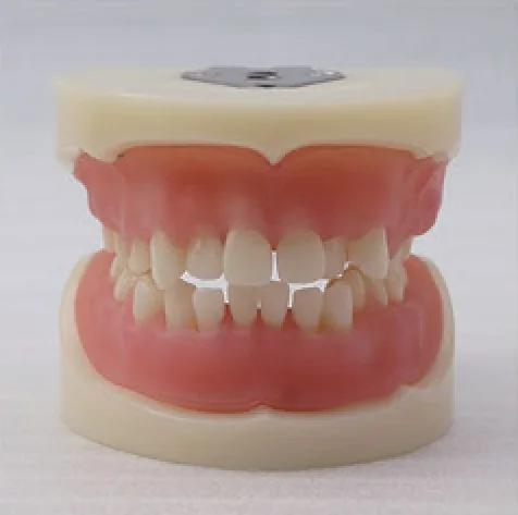 Modelo de extracción para certificación médica — VIC Science