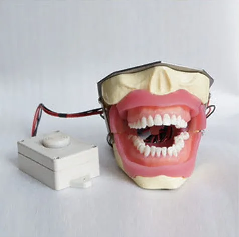 Modelo de anestesia y extracción con zumbador — VIC Science