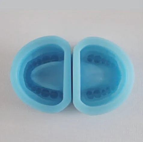 Standard Full-Arch Rubber Mold — VIC Science