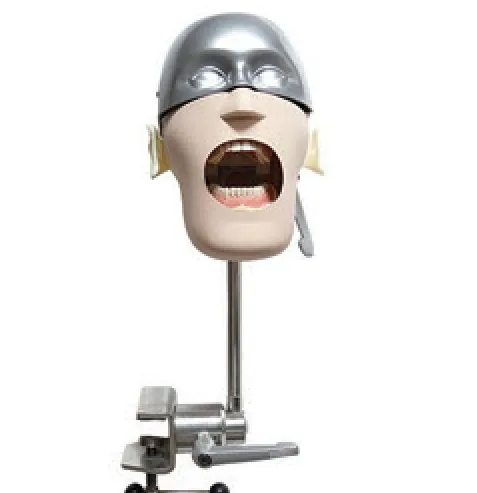 Cabeza simuladora odontológica simple de acero inoxidable — VIC Science